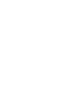 scalp micropigmentation plan icon